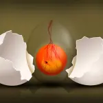 Proteine per la massa muscolare: ecco quali sono le migliori