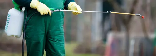 Derattizzazione Reggio Emilia