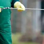 Derattizzazione Reggio Emilia