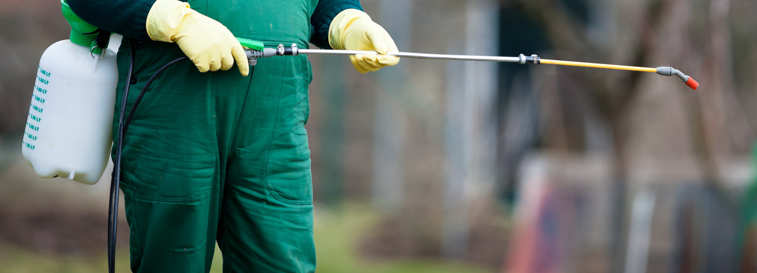 Derattizzazione Reggio Emilia